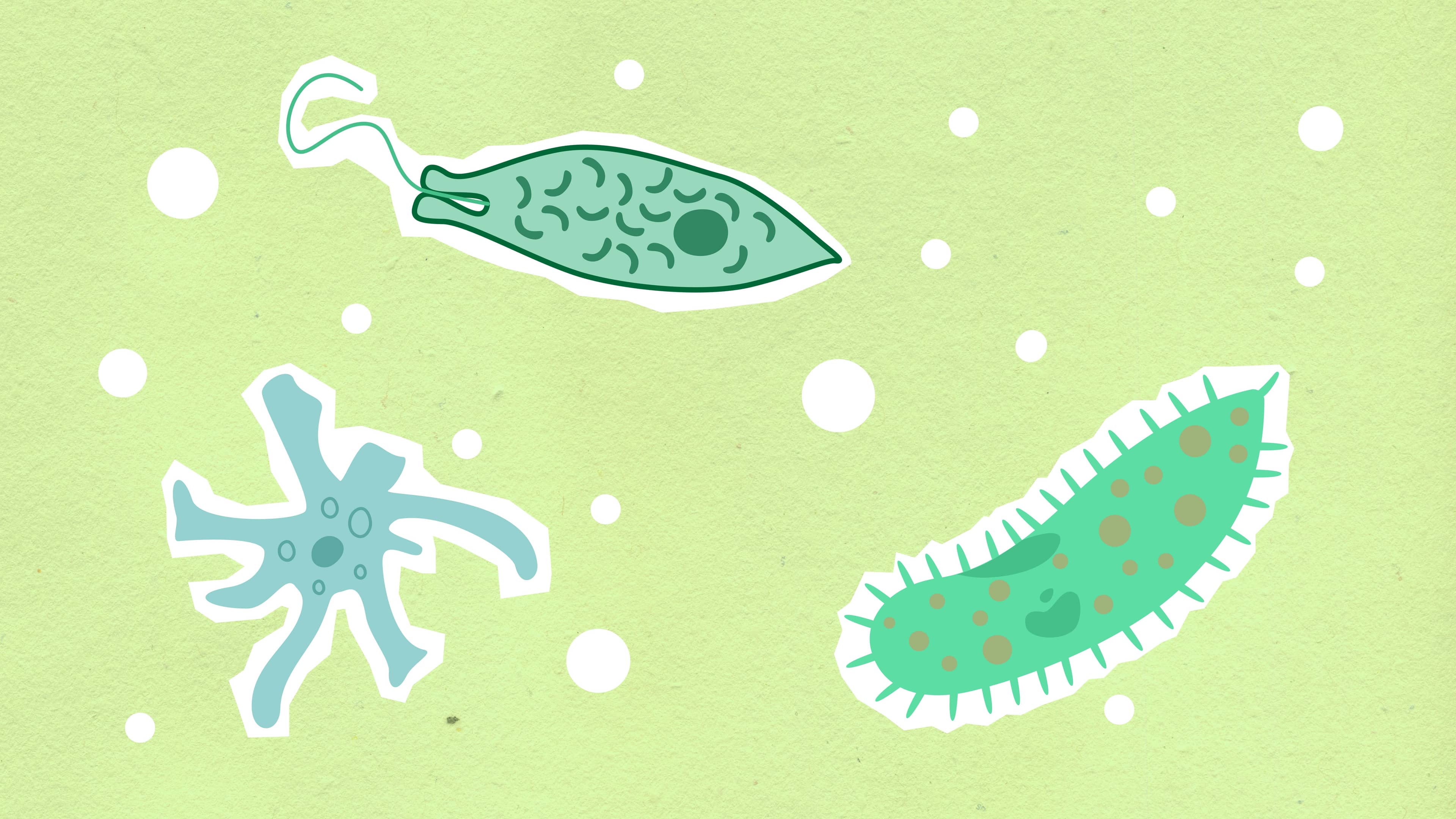 Biology tutoring